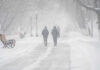 Winter Mold: The Silent Home Invader People walking in a snowy park during a blizzard
