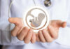 Healthcare professional holding a symbol representing fetal development