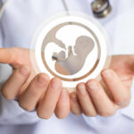 Healthcare professional holding a symbol representing fetal development