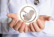 Healthcare professional holding a symbol representing fetal development