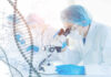Cancer Treatment Breakthrough: NK Cell Therapy Scientist examining samples under a microscope in a laboratory
