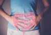 Surprising Gut-Microbe Link to Muscle Power Person holding their stomach with a graphic of intestines overlayed