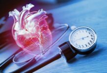 Brown Fat’s Hidden Heart Shield An anatomical heart illustration next to a blood pressure monitor
