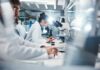 Yogurt and Health: What the Studies Don’t Show Scientists working in a laboratory with microscopes and test tubes