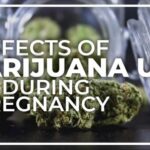 Cannabis use during pregnancy could impact baby's brain development, study shows