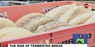 The Rise of Fermented Bread
