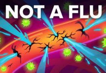 When “Just Flu” Drowns Lungs and Turns Fatal What it is Actually Like to have Hantavirus