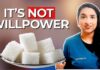 Why You Crave Sugar When Tired (A Doctor Explains)