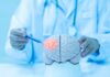 Forget More, Remember Better — Here’s Why Doctor examining a model of a brain with a pen