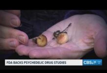 FDA Countdown Starts: New PTSD Drug For Anxiety Disorders FDA fast-tracks review of psychedelic drugs for mental health treatment
