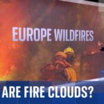 What is a ‘fire cloud’ and how have they worsened wildfires in Europe?