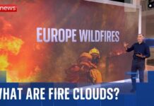 What is a ‘fire cloud’ and how have they worsened wildfires in Europe?