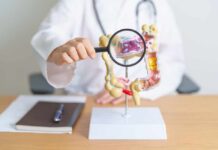 Cancer Breakthrough Hiding In The Gut Doctor examining an anatomical model of the digestive system with a magnifying glass