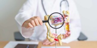 Doctor examining an anatomical model of the digestive system with a magnifying glass