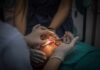 Dental surgeons perform oral procedure with instruments