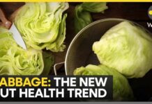 Why “Cabbage Core” Is Taking Over Wellness Trends Cabbage Becomes The New Viral Superfood: Why “Cabbage Core” Is Taking Over Wellness Trends