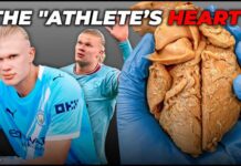 What 20 Years of Elite Soccer Do to the Human Body What 20 Years of Elite Football Do to the Human Body