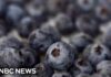 FDA’S HIGHEST WARNING Slams Publix Berries FDA upgrades frozen berry recall to highest risk level