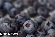 FDA’S HIGHEST WARNING Slams Publix Berries FDA upgrades frozen berry recall to highest risk level