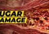 The REAL Reason Diabetes Is So Dangerous