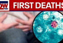 Deadly Cyclospora Outbreak: Michigan reports first deaths in U.S.