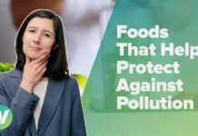 Hidden Pollution Shield Inside Mediterranean Plates Foods That May Help Protect Against Fine Particulate Matter (Air Pollution)