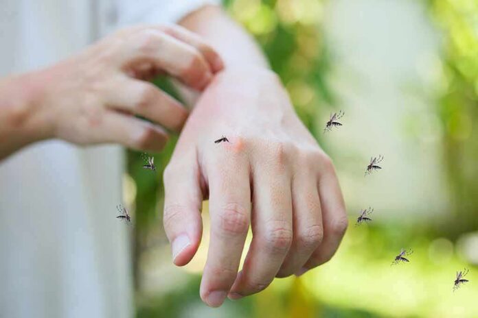 shutterstock_1739696120 hand being bitten by mosquitoes outdoors