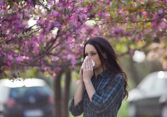 shutterstock_1067835524 Woman sneezing into tissue under blooming pink trees