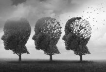 Brain-Aging: Ranking The Worst Offenders Three trees shaped like human heads losing leaves