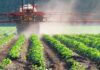 Farm Chemical Flagged In Alarming Cancer Spike Crop sprayer applies mist over green rows of plants