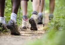 Hikers' feet walking on a forest trail