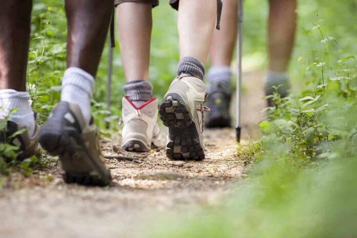 Hikers' feet walking on a forest trail