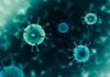 Hidden Pathogens Drive Massive Cancer Toll virus particles with spike-like protrusions