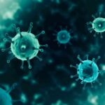 virus particles with spike-like protrusions