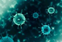 virus particles with spike-like protrusions