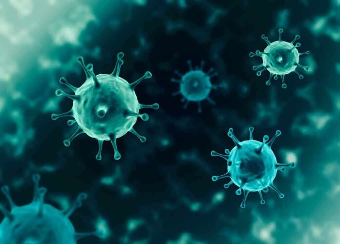 shutterstock_1662701254 virus particles with spike-like protrusions