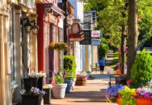 Color Hunting Craze Reveals Wellbeing Benefits Charming small-town street with colorful storefronts and flowers