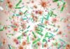 Infection-Driven Cancers SURGE – WHO Sounds Alarm Colorful microscopic bacteria and viruses floating in space